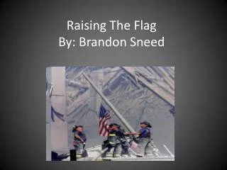 Raising The Flag By: Brandon Sneed