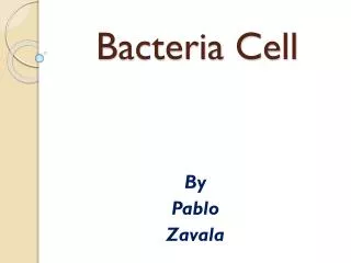 Bacteria Cell