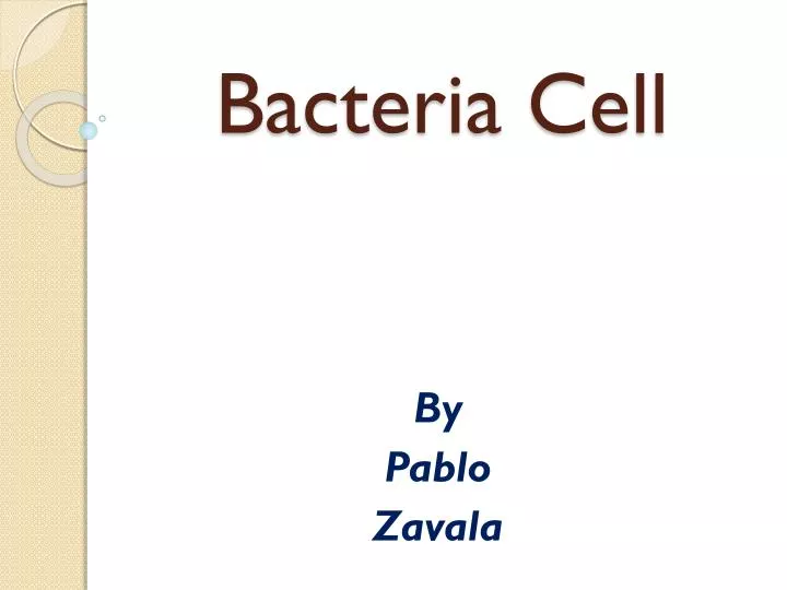 bacteria cell