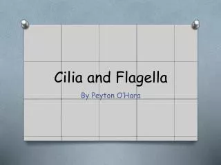 Cilia and Flagella