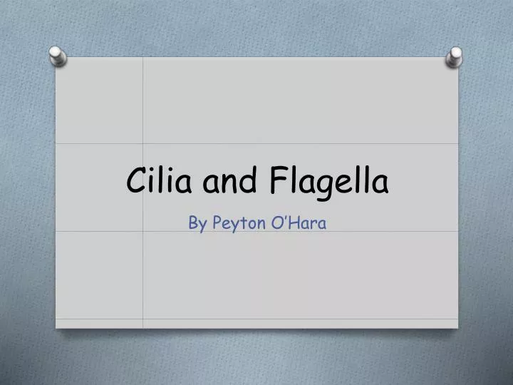 cilia and flagella