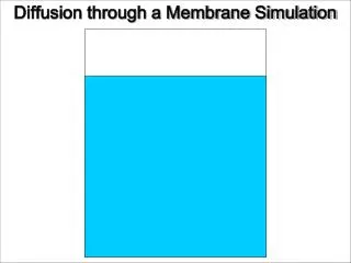 Diffusion through a Membrane Simulation