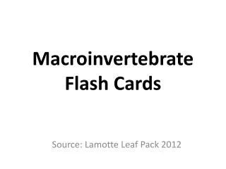 Macroinvertebrate Flash Cards