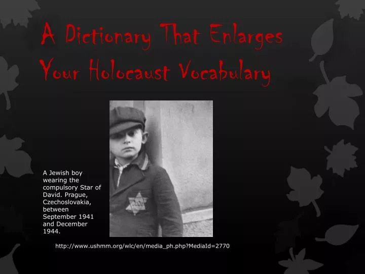a dictionary that enlarges your holocaust vocabulary