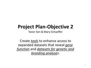 Project Plan-Objective 2 Taner Sen &amp; Mary Schaeffer