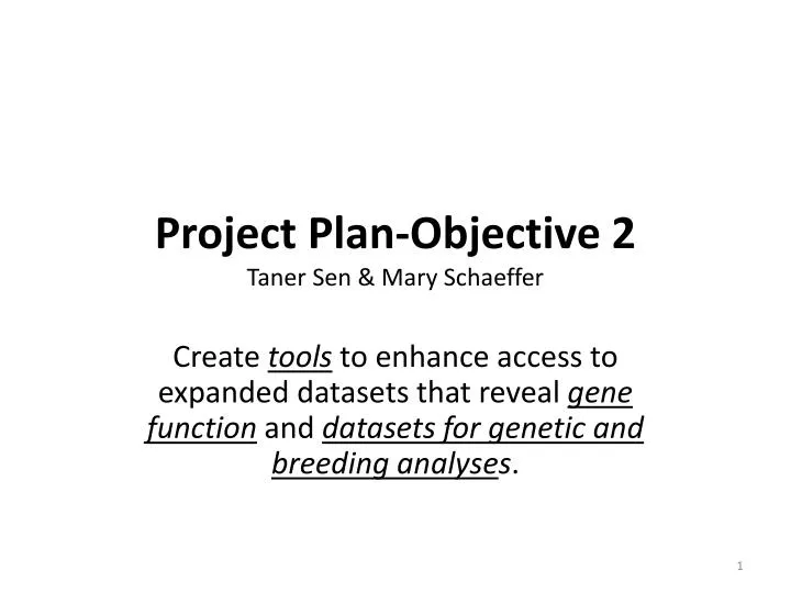 project plan objective 2 taner sen mary schaeffer