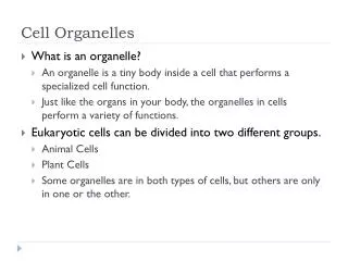 cell organelles
