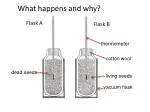 vacuum flask - slide 1