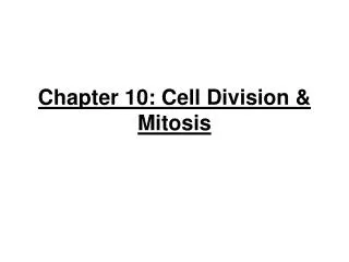 Chapter 10: Cell Division &amp; Mitosis