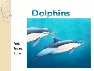 Dolphins