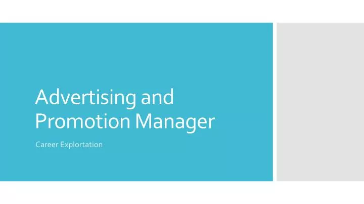 advertising and promotion manager