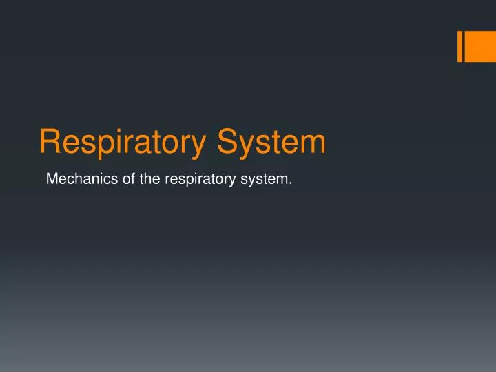 respiratory system