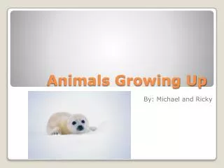 Animals Growing Up