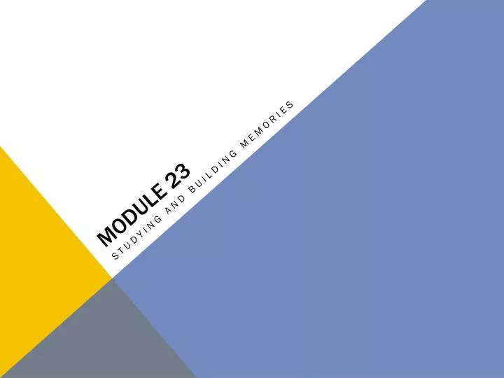 module 23