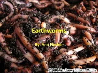 Earthworms