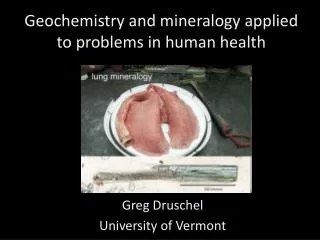 Geochemistry and mineralogy applied to problems in human health