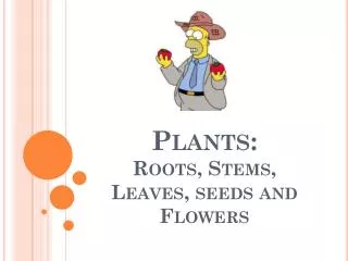 Plants: Roots, Stems, Leaves, seeds and Flowers
