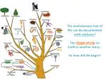 The evolutionary tree of life can be documented with evidence ! - slide 1