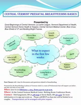 Central Vermont prenatal breastfeeding basics
