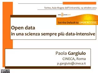 paola gargiulo cineca roma p gargiulo@cineca it