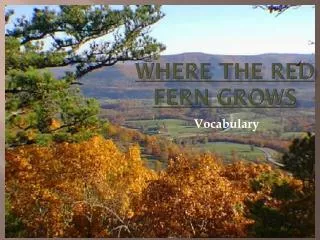 where the red fern grows