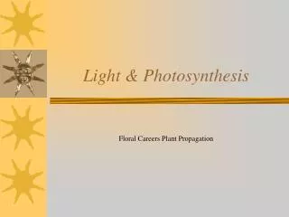 Light &amp; Photosynthesis