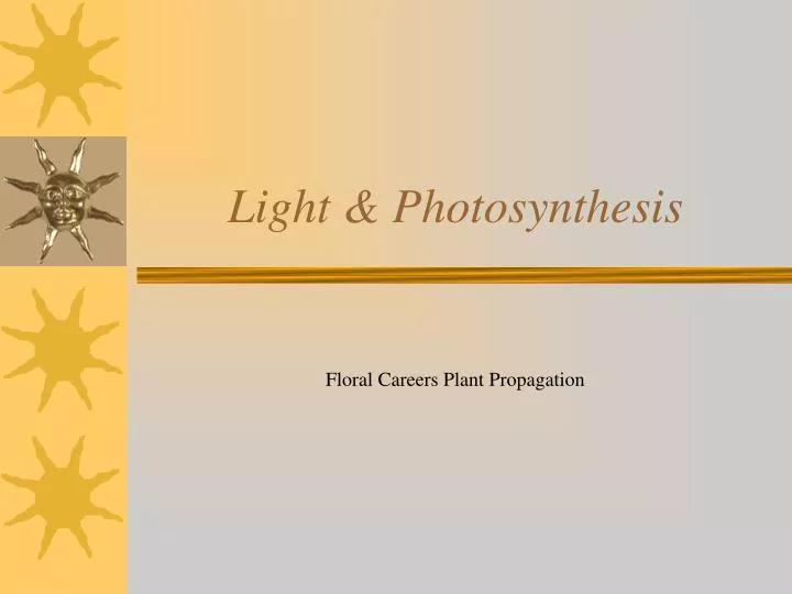 light photosynthesis