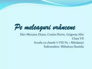 pe meleaguri vr ncene