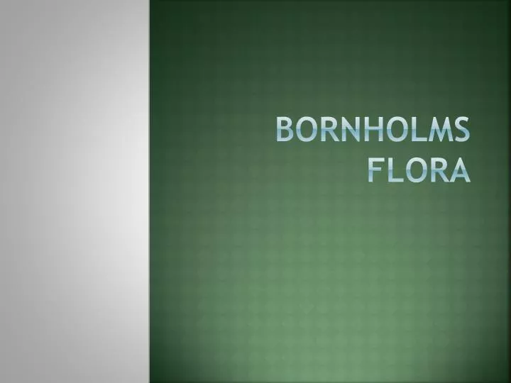 bornholms flora