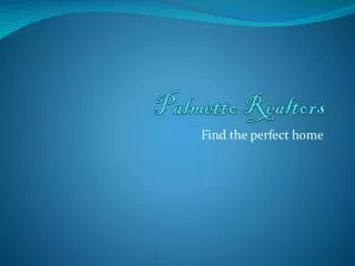 palmetto realtors