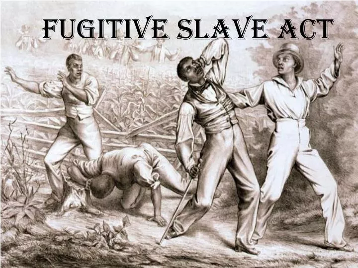 fugitive slave act