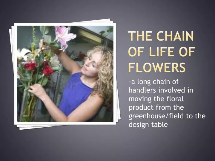 the chain of life of flowers