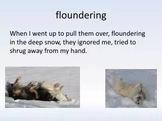 floundering