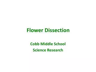 Flower Dissection