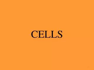 CELLS