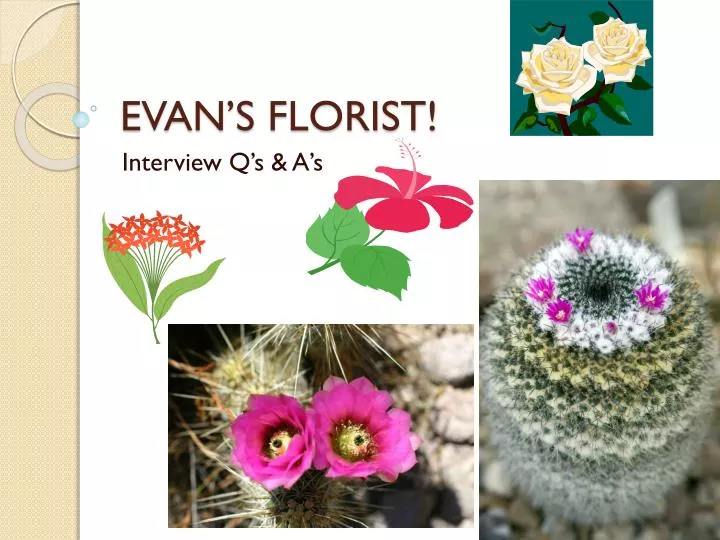 evan s florist