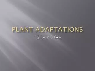 Plant Adaptations