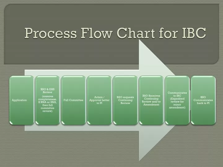 process flow chart for ibc