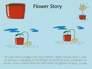 flower story