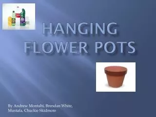 Hanging Flower pots