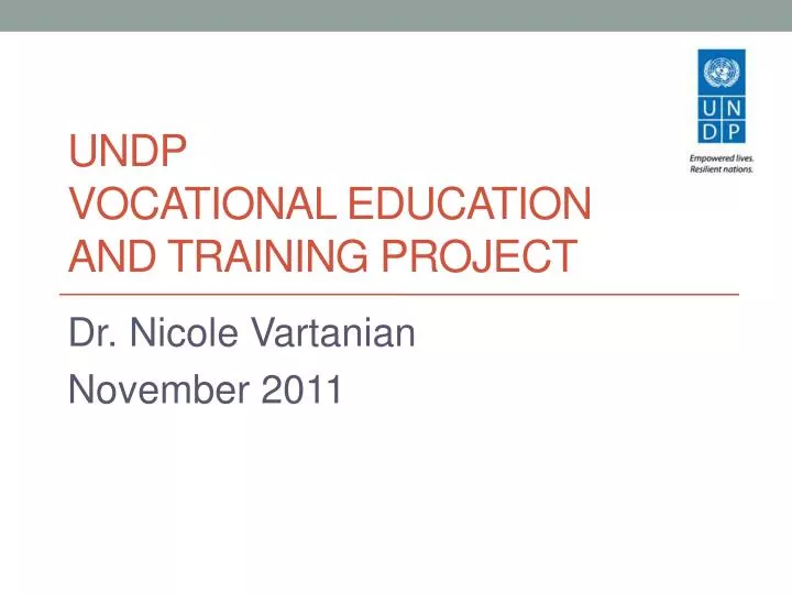 undp vocational education and training project