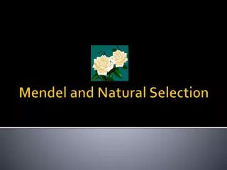 Mendel and Natural Selection