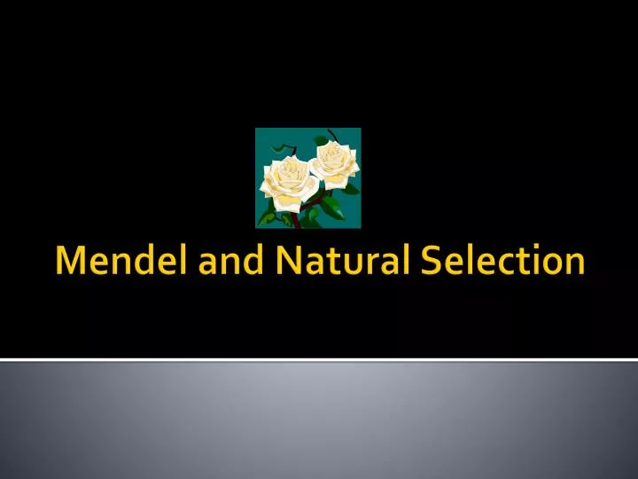 mendel and natural selection