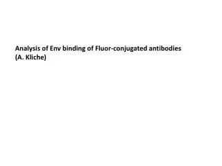 Analysis of Env binding of Fluor-conjugated antibodies (A. Kliche )