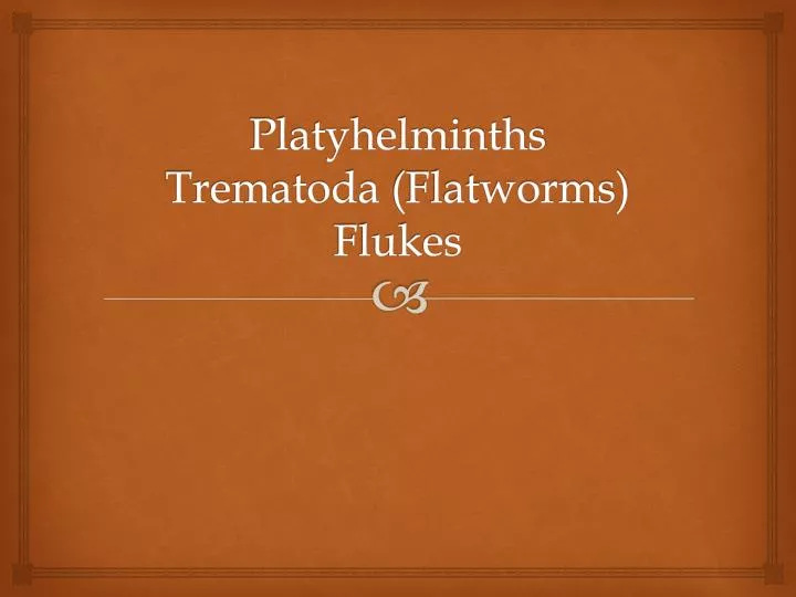 platyhelminths trematoda flatworms flukes