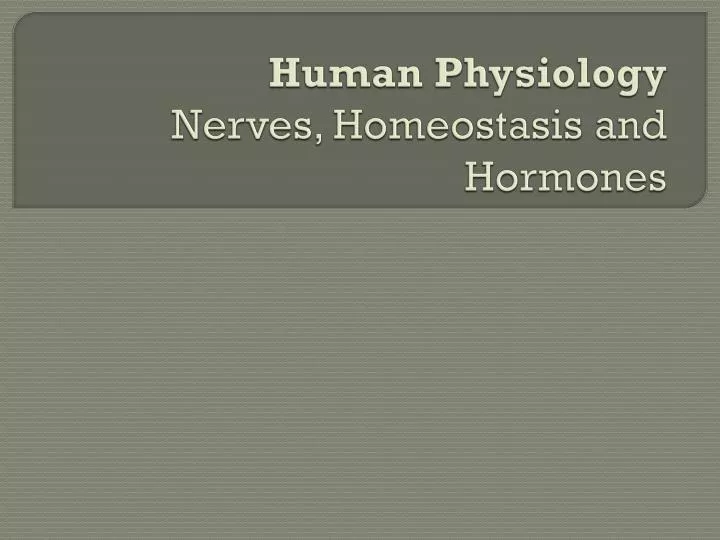 human physiology nerves homeostasis and hormones