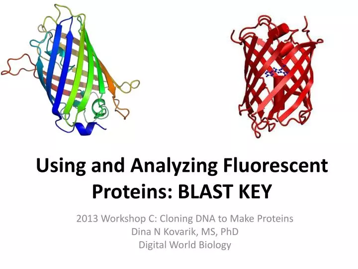 using and analyzing fluorescent proteins blast key