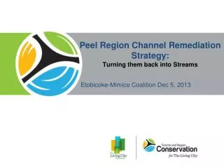 Peel Region Channel Remediation Strategy: T urning them back into Streams