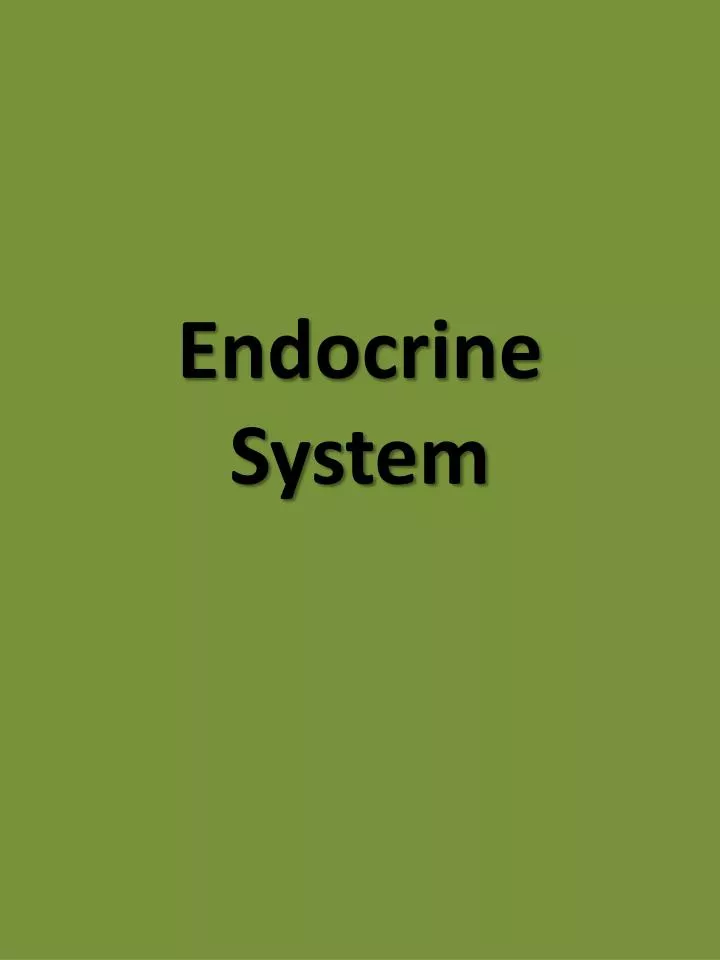 endocrine system