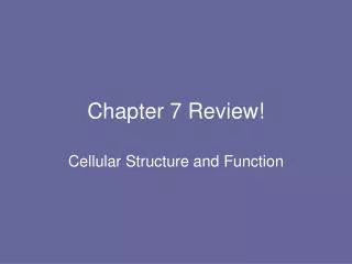 Chapter 7 Review!